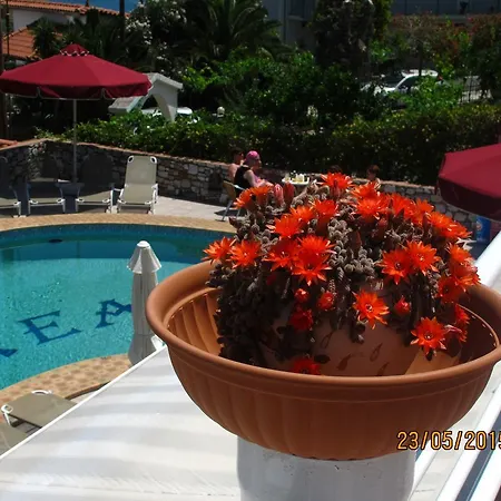 Rea Lägenhetshotell Megali Ammos (Skiathos)